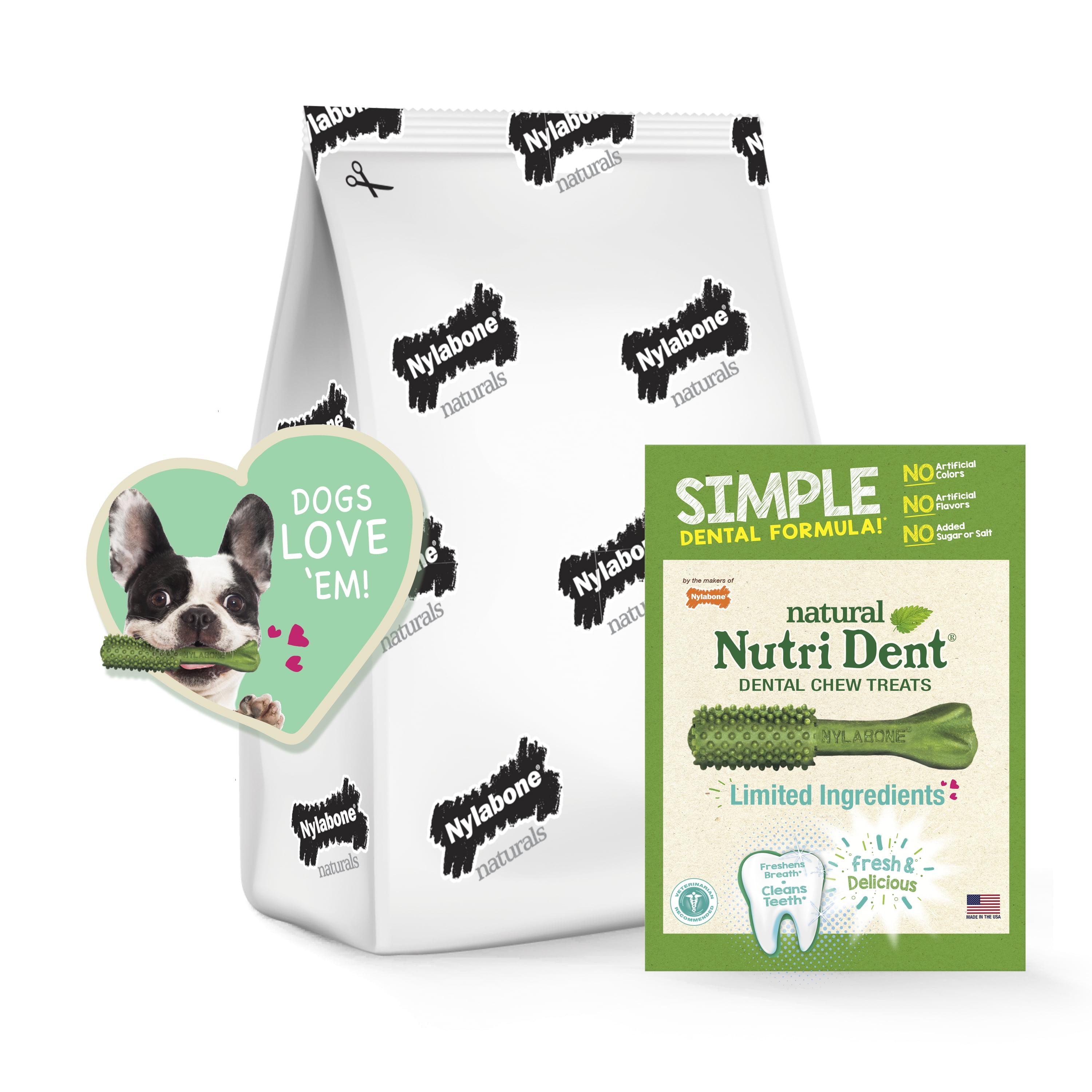 Nylabone Nutri Dent Fresh Breath Natural Dental Chew Dog Treats, Mini