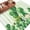 Green White, variant on St. Patrick's Day Area Rugs 6'x9', Small Throw Rugs for Kitchen Dining room, Lucky Shamrock Watering Can Gnomes Daisy Wood Indoor Outdoor Rug Non-Slip Low Pile Carpet Runner Reversible Floor Mats