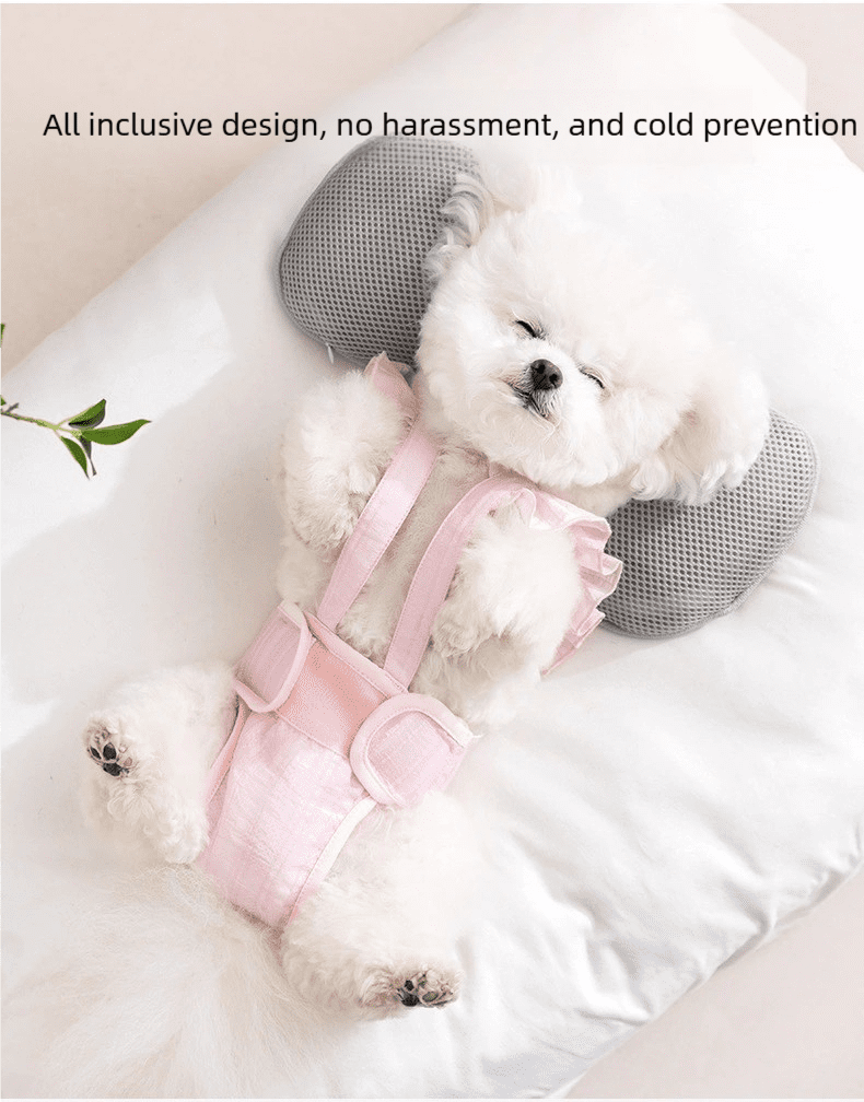 3 Pack Pet Diaper Pants for Female Dogs - Heat Cycle Sanitary Protection, Breathable Striped Jacquard