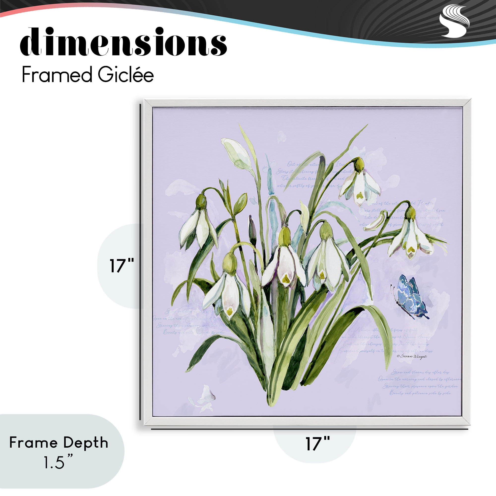 Stupell Industries Snowdrops with Vintage Writings White Framed Giclee Art, design by Susan Winget