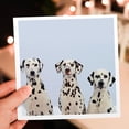thumbnail image 7 of 3drose, Three Dalmatians Puppies. Best Friends., 6 Greeting Cards with Envelopes, 7 of 7