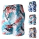 thumbnail image 3 of Pantalones cortos de playa de aguas termales de ocio para hombres, calzoncillos tipo bóxer, bañadores Fridja nalpqowj19104, 3 of 3