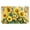 B, variant on Yucurem Absorbent Lemon Print Entryway Rug, Vintage Welcome Non-Slip Front Door Mats, Summer Retro Fruits Throw Floor Carpet for Kitchen Bedroom Entrance