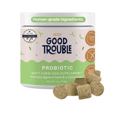 Good Trouble Pets Probiotic Supplement for Dogs - Chicken Flavor, 30 Chews