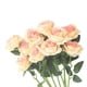 thumbnail image 1 of Wosthever 10pcs Artificial plants imitation rose single designed Valentine's rose home artificial exquisite Artificial rose, Decoración champán, 1 of 6