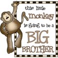thumbnail image 2 of CafePress - Big Brother T Shirt Monkey - Rectangle Magnet, 2"x3" Refrigerator Magnet, 2 of 3