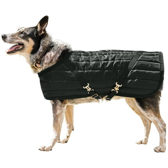 Schneiders Quilted Lightweight Dog Coat | Closed Front | Black | Size X-Large