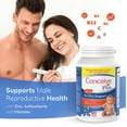 CONCEIVE PLUS Fertility Supplements for Men 30Day Supply Zinc
