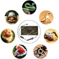 thumbnail image 5 of Alfombrilla calefactora para reptiles Honeyhouse, alfombrilla calefactora USB con termostato de 3.ª velocidad, almohadilla eléctrica ajustable para mascotas pequeñas o reptiles, tortugas, serpientes,, 5 of 5