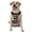 With Accessories, variant on Vsdgher French Bulldog Pattern Dog Harness,No Pull Pet Harness with Soft Padded Handle,Adjustable Reflective Vest with 2 Buckles,4 Slide Buckles,S-XL