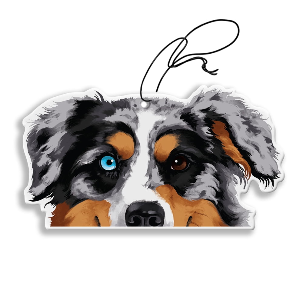 WIRESTER Air Freshener Hanging for Car, Office, Home & Ornaments