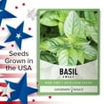 thumbnail image 7 of Sweet Basil Seeds, 7 of 7