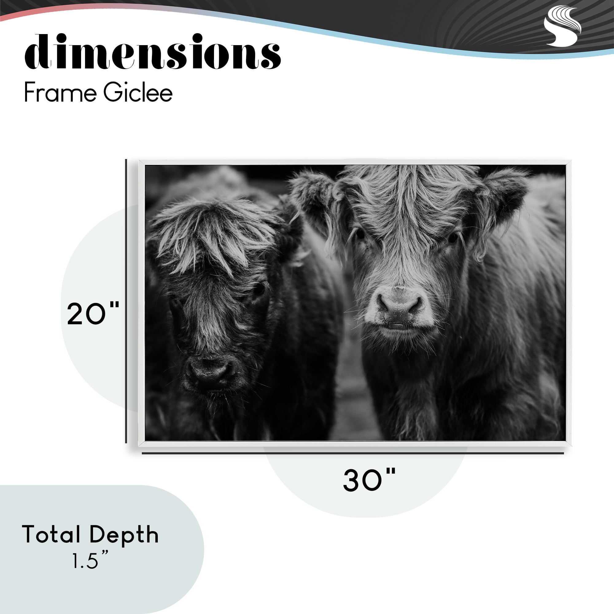 Cow Faces on Farm White Framed Giclee Art, design by Amy Carroll