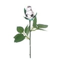 thumbnail image 1 of Dvkptbk Rangement Cadeau Fête des Mères-Sport Cuir Rose R Ro Essentiels Maison, 1 of 2