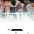 thumbnail image 6 of Fancyes Leverage Ruler Experiment Physics Teaching Demonstration Lever Balance Scale Measuring, 6 of 8