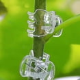 thumbnail image 3 of 50Pcs Plant Support Clips,Plant Orchid Clips Flowers Clear Fixer for Garden Vine Plants Climbing Clasp Perfect Supporting Vines, And Stems,Pepper Plants,Tomato, 3 of 9