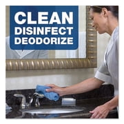 Disinfecting-Sanitizing Bathroom Cleaner, One Gallon Bottle | Bundle of 2 Each