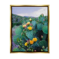 Stupell Industries Vivid Cactus Blossoms Photograph Metallic Gold Floating Framed Canvas Print Wall Art, Design by Sonja Quintero