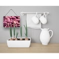 thumbnail image 2 of Sweet Potatoe by Gary Kwiatek Wall or Door Hanging Prints, 2 of 2