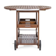 Rayan Outdoor Dark Oak Acacia Wood Bar Cart with Shiny Powder Coated Aluminum Accents