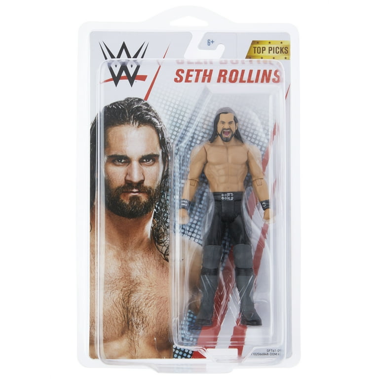 Wwe 2024 figure case