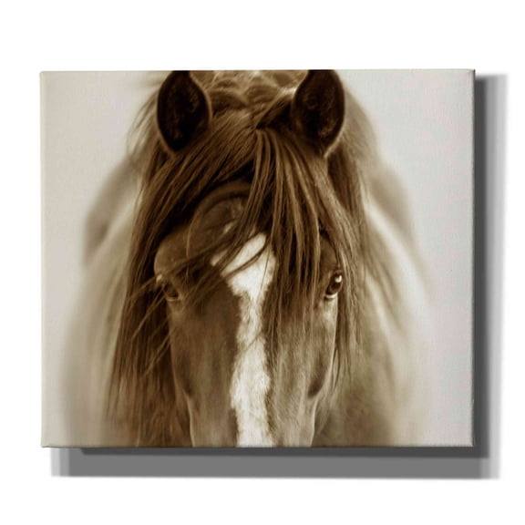 Epic Graffiti 'Ghost Horse' by Lisa Dearing, Giclee Canvas Wall Art, 30"x26"