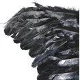thumbnail image 5 of Angel Wings Cosplay Wings Halloween Costume Wings Black White Feather Wing With Adjustable Straps, 5 of 5