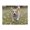 500 Pieces, variant on 500-Piece Wooden Jigsaw Puzzle for Adults & Families - Dog Running Meadow , Fun & Educational Brain-Teasing Game, Artistic Home Decor