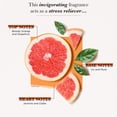 thumbnail image 3 of Perfume Solinotes Pomelo Eau De Parfum, 15 ml, para mujer, 3 of 9