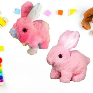 Jack Rabbit Creations Finn The Fox Jack in The Box Toy, Plush Fox