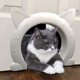 thumbnail image 1 of blanc Xl Porte De Chat Porte De Chat Intrieure Porte De Chat Pour Porte Intrieure, Portes Pour Chat, Minou Et Minou, 1 of 5