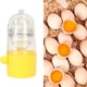 thumbnail image 5 of Coctelera Manual Para Huevos, Práctica, Portátil, De Plástico, Fácil De Operar, Para Hacer Huevos Dorados, Para El Hogar, Con Cuerda Para Tirar, Para Huevos Dorados Hervidos, 5 of 7
