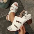 thumbnail image 2 of Abomasnow Platform Wedge Sandals for Women 2026 Summer Ankle Strap Open Toe Sandals Chunky Block Heels Hollow Out Shoes, 2 of 9