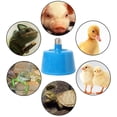 thumbnail image 4 of Warm Lamp Keep Warming Bulb for Livestock Poultry Pet Heat Emitter Bulb Heat Lamp for Poultry, Pets and Livestock for Tu, 4 of 8