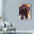thumbnail image 3 of Trademark Fine Art 'Warrior Buffalo' Canvas Art by Julie T. Chapman, 3 of 4
