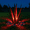 Red-L+Light, variant on Garden Statues 25.9 in Rustic Lighted Agave Tequila Garden Statues, UV Resistant
