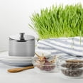 thumbnail image 6 of Hieromout Stainless Steel Sugar Bowl Set with Lid and Spoon, Magnetic Kitchen Counter Jars for Sugar, Ghee, Cream, Salt, Candy, Condiments, 6 of 10