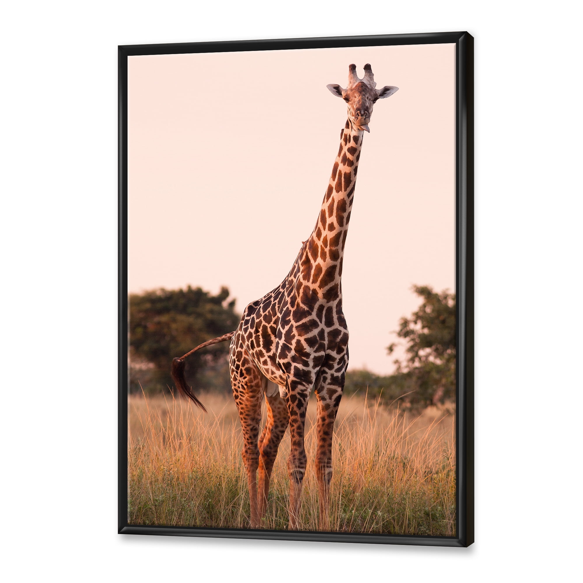 African Giraffe In The Wildlife I 12 in x 20 in Framed Photography Canvas Art Print, by Designart