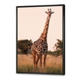 thumbnail image 3 of African Giraffe In The Wildlife I 16 in x 32 in Framed Photography Canvas Art Print, by Designart, 3 of 5