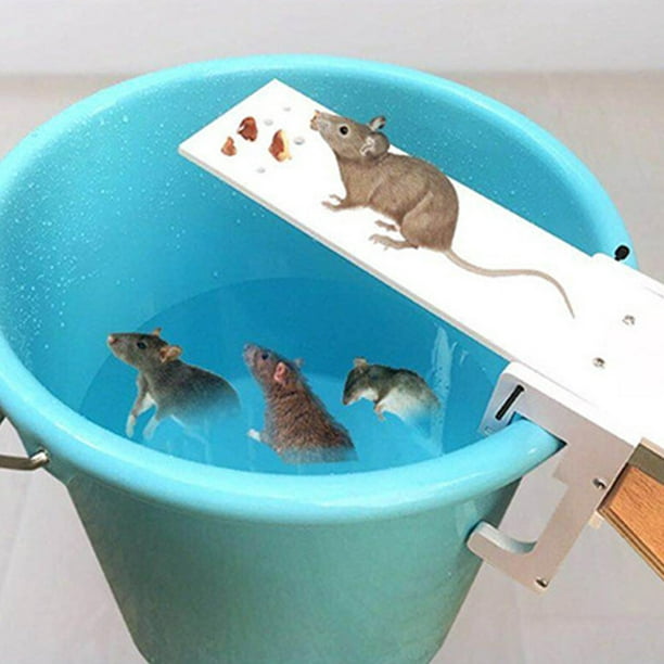 Piège à souris plastique Mouse Trap 2 entrées • Contre les souris