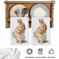 thumbnail image 5 of Funny Bunny Kitchen Towels Set of 2, Cute Art Fun Lovely Animals on Toilets Absorbent Dish Towels for Kitchen, Microfiber Hand Towel, Quick Drying Tea Towel for Cleaning Decorative Dishcloths, 5 of 7