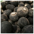 thumbnail image 2 of Everwilde Farms - 1 lb Black Spanish Round Radish Seeds - Gold Vault Bulk Seed Packet, 2 of 3