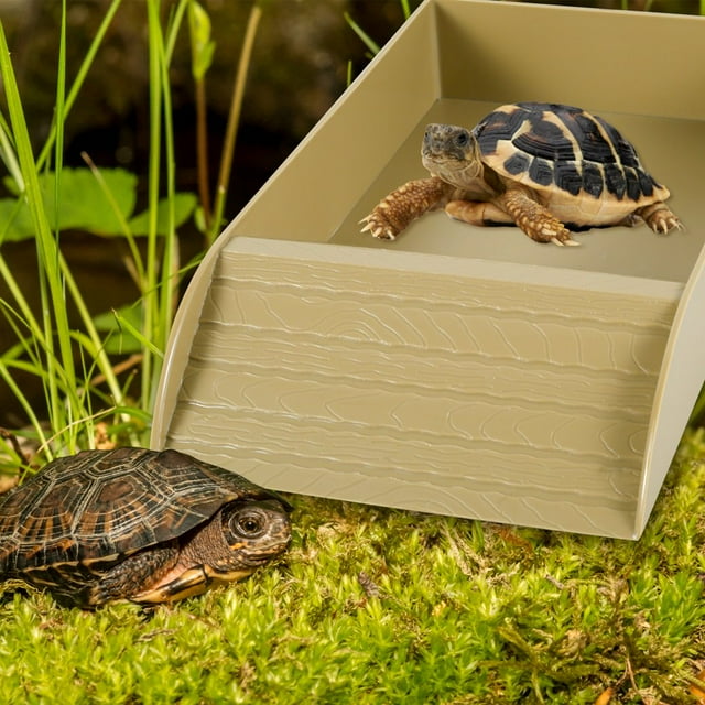 Tortoise Food Dish Reptile Water Food Bowls with Anti-Slip Ramp Reptile Water Dish Reusable Turtle Reptile Pool Tortoise Habitat Accessories for Turtles Horned Frogs and Lizards 36x20x6cm