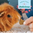 thumbnail image 4 of Oxbow premio zanahoria conejo cuyo hamster chinchilla 85 grs, 4 of 4