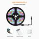 thumbnail image 3 of Matsuzay Tira de luces LED de control remoto de 2m, cinta Flexible cortable RGB, múltiples modos, luz LED RGB resistente al agua Iluminación navideña No.6 Matsuzay HA027721-06, 3 of 6