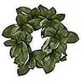 thumbnail image 3 of Nearly Natural 4292 22 in. Magnolia Leaf Artificial Wreath, 3 of 4