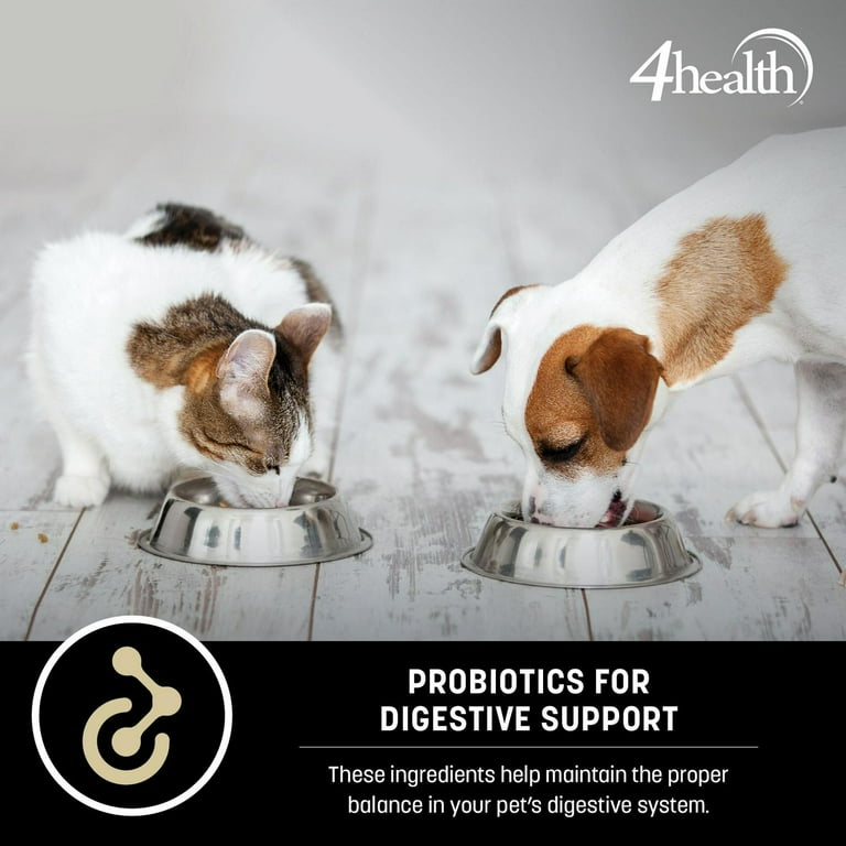 4health with Wholesome Grains Salmon and Potato Formula Adult Dog
