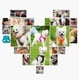 thumbnail image 2 of Cuerda de tracción para perros Perros pequeños Cadena de cuerda para perros Correa para caminar para perros Chaleco para perros Cuerda de tracción para perros Lago Naranja 2XS oso de fresa Electrónica, 2 of 5