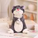 thumbnail image 4 of Angry Cat Domineering Kitten Pencil Bag Pen Package Case Plush Toy Stuffed Doll Cartoon Animal Student Stationery Boy Girl Gift, 4 of 5
