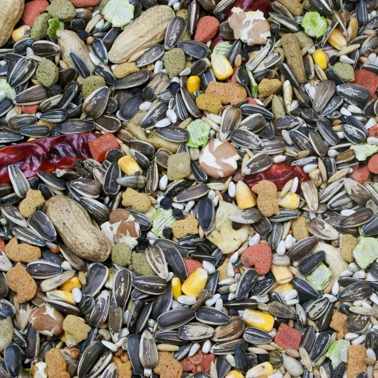 Higgins Vita Seed Parrot Food 5 lbs. Premium Seed Blend w/ Probiotics & DHA Omega-3